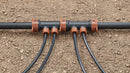 1/2" x 1/4" Drip-Lock 2-Port Extension Manifold 67047