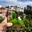 Handmade Glass Terrarium Mossbox Happy Chubby Cow Micro Landscape with Unique Artisan Design