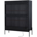 Modern Minimalist Style LED Curio Cabinet With Tempered Glass Door, Metal Legs by HouseOfZazla