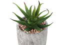 6" Tall Artificial Succulent Plants, Set of 2 by HouseOfZazla