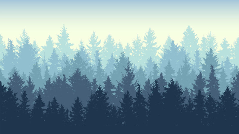 Misty Forest Wallpaper. Blue Pastel Color Mural