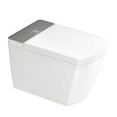 Modern Integrated Smart Toilet