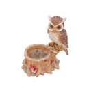 Decorative Owl Garden Planter Pot on Branch by HouseOfZazla