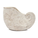 11.5x6.7x7.7" Sand and Cement Nautilus Shell Planter with Textured Beige Finish by HouseOfZazla