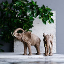 15x8x12" Tai Polyresin Elephant Accent, Trumpeting