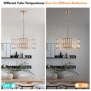 18' Golden Modern Crystal Drum Chandelier - 6-Light Pendant Lighting