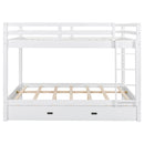 Sturdy Bunk Bed With Ladder by HouseOfZazla