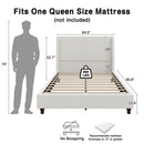 52.7" Tall Upholstered Wingback Queen Platform Bed Frame by HouseOfZazla