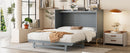Murphy Bed With Iron Legs, Modern Design by HouseOfZazla
