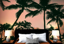 Sunset Wallpaper Mural. Palm Trees Tropical Vibe.