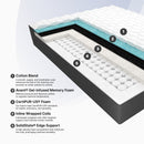 Club Signature III Extra Firm (FLOOR SAMPLE)