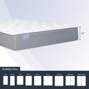 Club Signature III Luxury Firm (FLOOR SAMPLE)