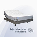 Club Signature III Luxury Firm (FLOOR SAMPLE)