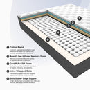 Club Signature IV Pillow Top (FLOOR SAMPLE)