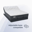 Westbourne II Plush