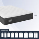 Westbourne II Pillow Top