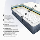 Cosmos LTPS (FLOOR SAMPLE)