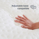 Cosmos LTPS (FLOOR SAMPLE)
