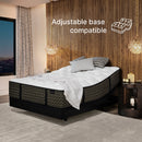 Brookside Plush (FLOOR SAMPLE)