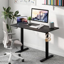 48 Inch x 24 Inch Ergonomic Electric Standing Desk with 3 Memory Settings for Home Office