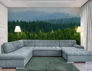 Green Forest Wallpaper Mural. Scenic Landscape Wall Mural.