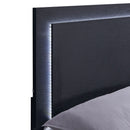 Jeremiah - LED Panel Bed With Touch Controlled Lighting by HouseOfZazla