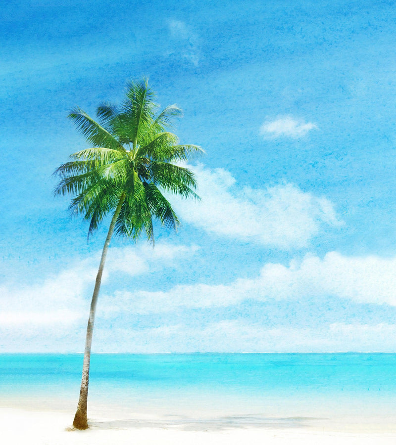 Tropical Palm Tree Wall Mural – Beach Shore Painting.