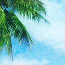 Tropical Palm Tree Wall Mural – Beach Shore Painting.