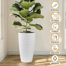 Tall Planters Set With Water Level Monitor And Auto Watering by HouseOfZazla