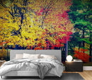 Colorful Autumn Trees Wallpaper Mural.