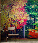 Colorful Autumn Trees Wallpaper Mural.