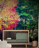 Colorful Autumn Trees Wallpaper Mural.