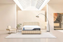 ChiroPro Hybrid Mattress by Hills Mattress & More