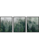 Forest fog