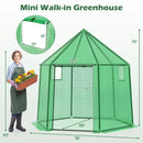 6.5 x 5.6 x 6.2 FT Mini Walk-in Greenhouse Portable Outdoor Warm House for Winter with PE Cover-Green by LJGDeals