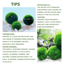 Live Marimo Moss Ball Aquarium 6PCS Set Kokedama Ball for 20 Gallon Aquarium