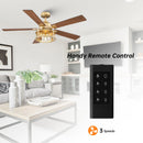 52" Lucknow Industrial Black Reversible Ceiling Fan with Lighting and Remote Control