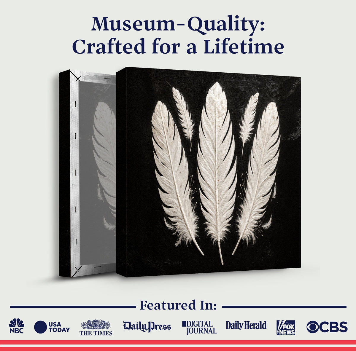 Minimalist Monochrome Feather Wall Art, photo 6 of 10