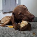 5-6 Inch Peanut Butter Cheek Roll