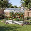 6 x 3 x 1 FT Galvanized Raised Garden Bed with Greenhouse Cover by LJGDeals