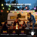 RGB Outdoor String Lights, 50FT with APP Control