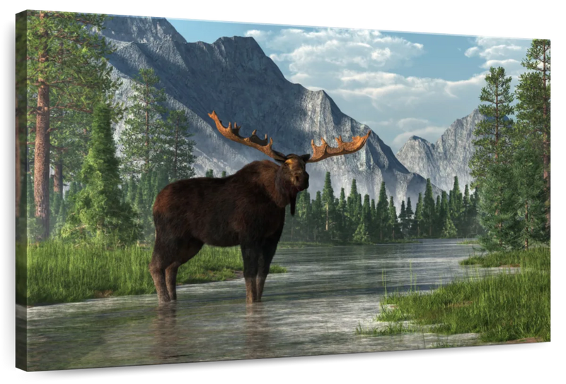 Bull Moose Habitat Wall Art