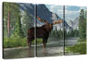 Bull Moose Habitat Wall Art