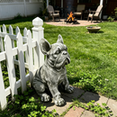 16" Outdoor Weatherproof French Bulldog Statue by HouseOfZazla