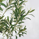 8FT Artificial Olive Tree with Decorative White Planter by HouseOfZazla