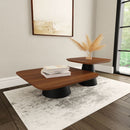 Duncan - 2 Piece Coffee Table Set With Sculpted Bases - Walnut by HouseOfZazla