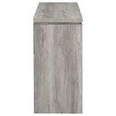 2 Door Accent Cabinet With Accents - Gray