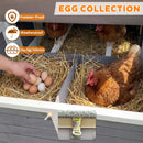 150" Extra Large Wooden Chicken Coop by HouseOfZazla