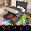 Upholstered Bed, 360 Surround LED Function, Remote Control, Hydraulic Storage Bed With USB, Type-C Charging (Without Mattress) by HouseOfZazla
