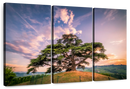 Majestic Cedar Of Lebanon Wall Art